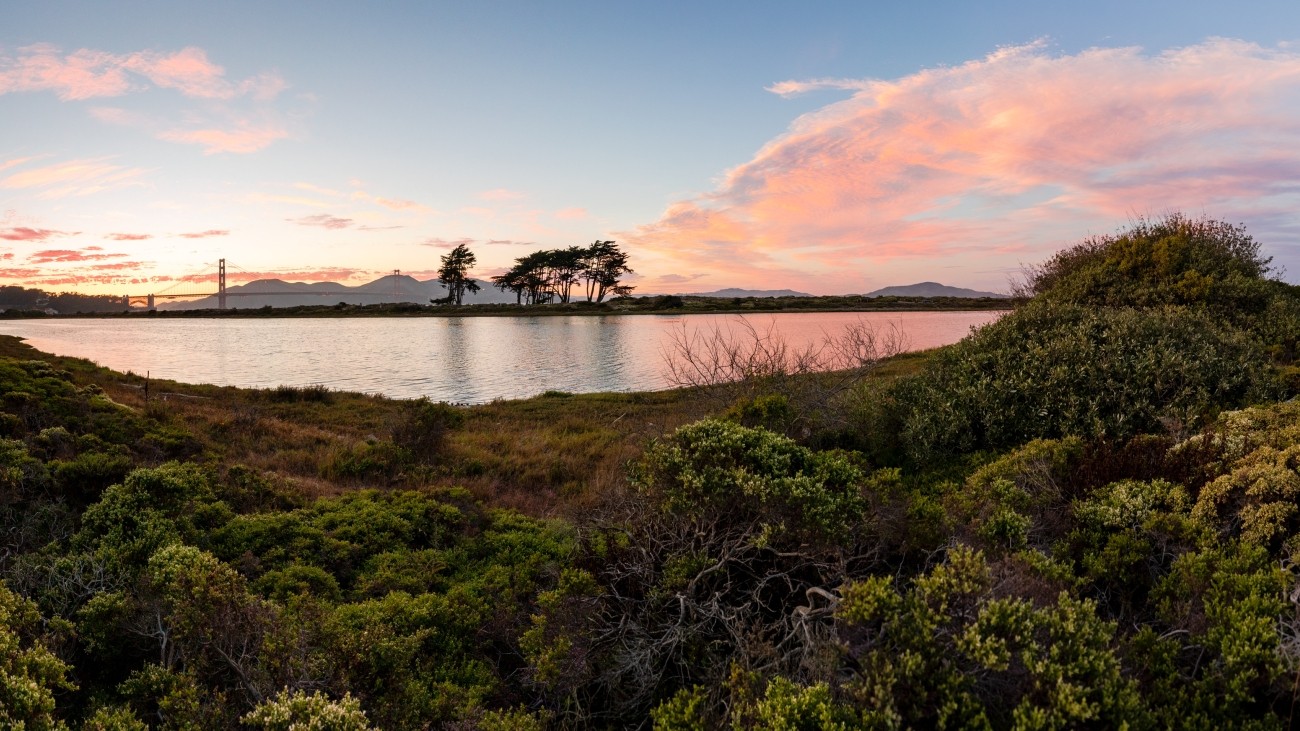 View of Crissy Field Marsh with the sky and pink clouds in the background.