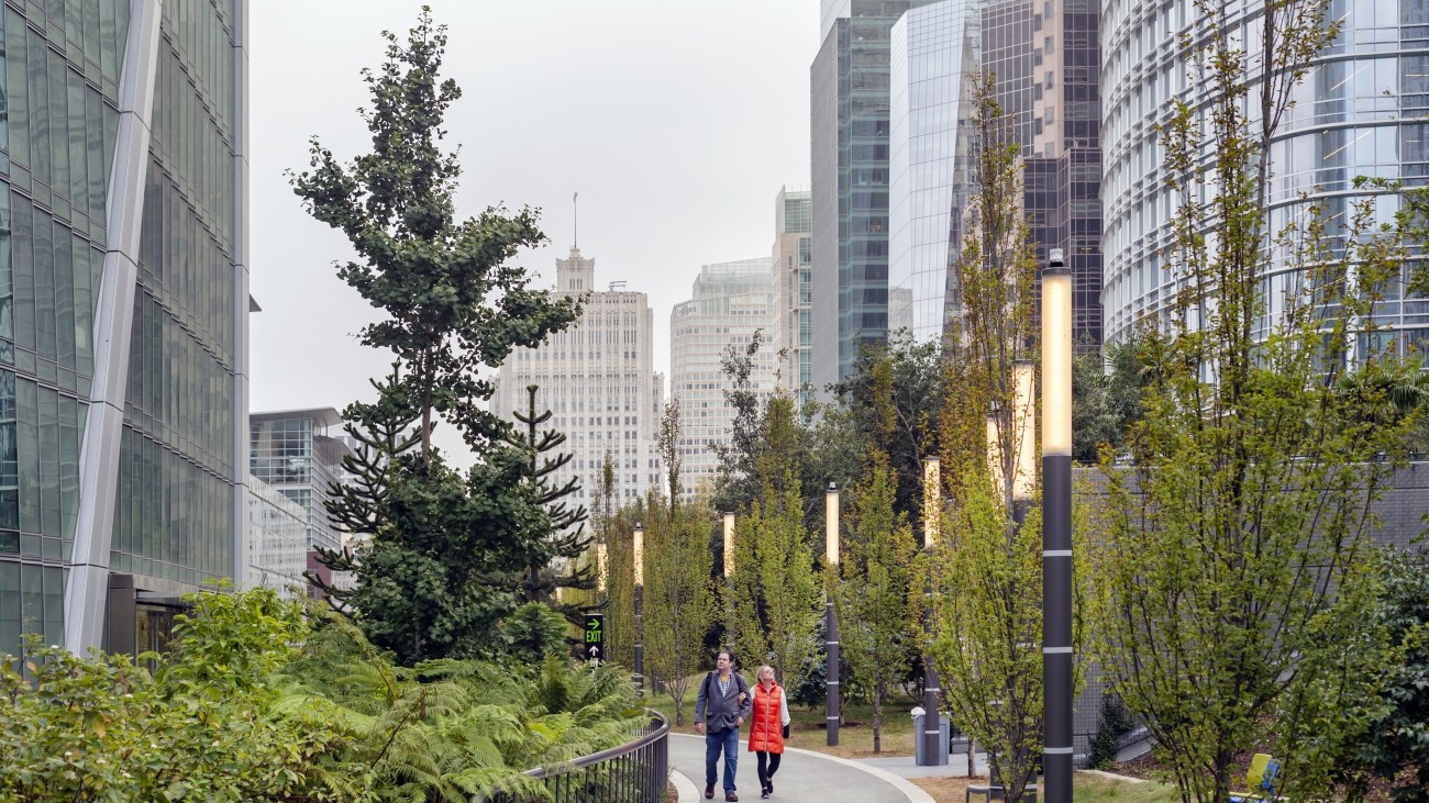 People walking on a path through the Transit Center Rooftop Park