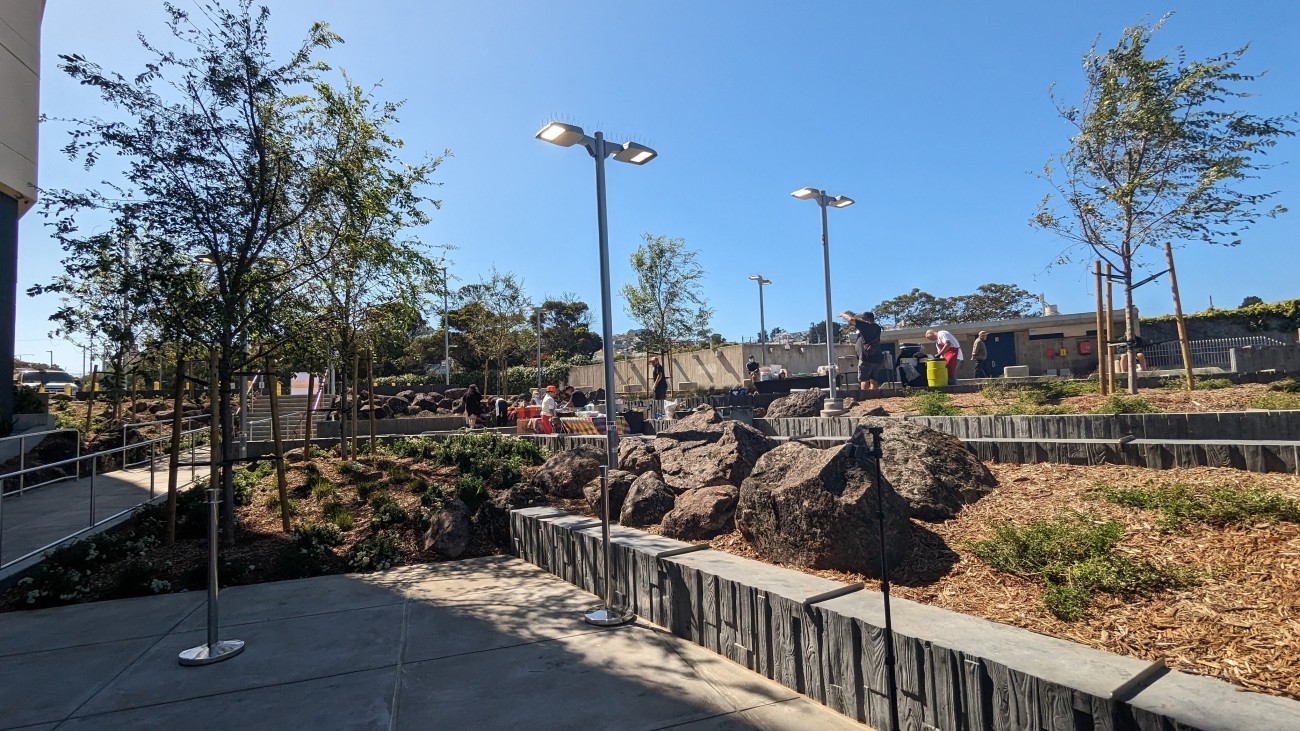 Trees, lighting, and landscaping at the Balboa Park plaza