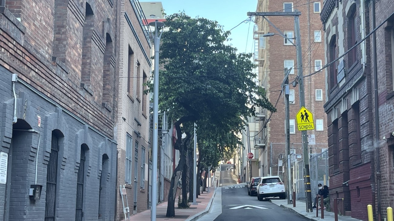 Street lights along Chinatown's Joice Alley