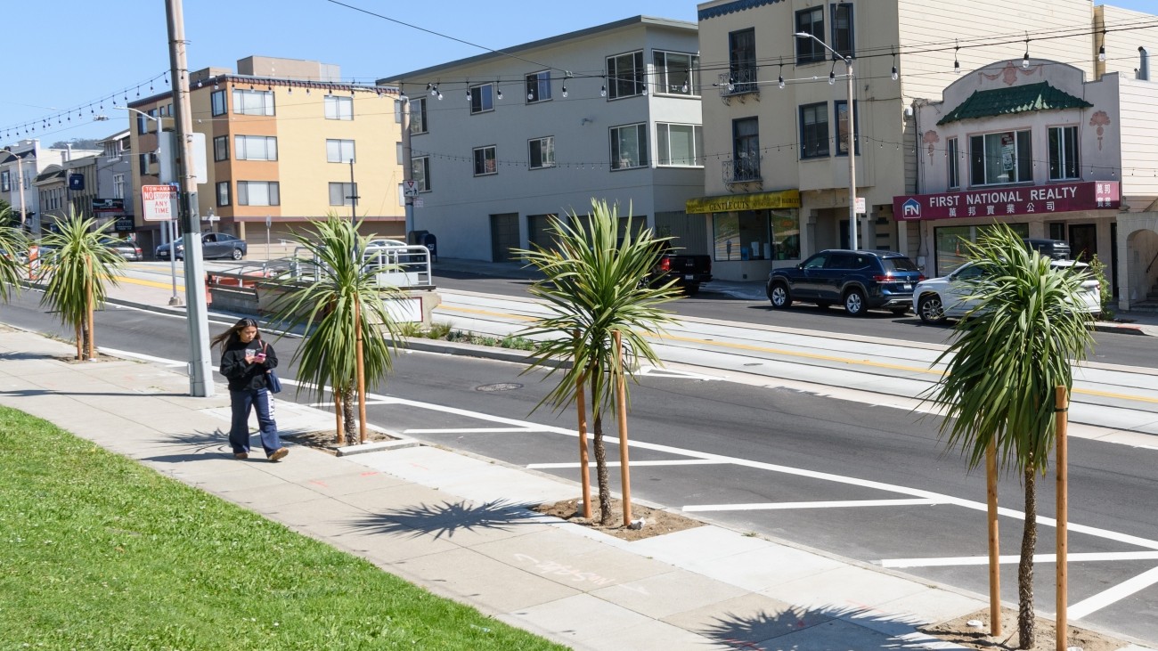 A person walking on the sidewalk, next to new landscaping and trees along Taraval Street