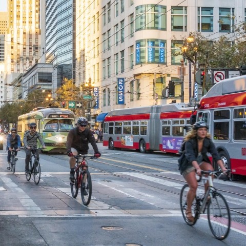 People biking with a bus and streetcar in the background