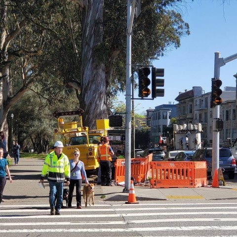 Pedestrians walking on a cross walk using the new traffic signals