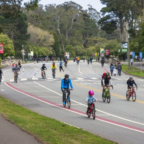 Bicyclists and pedestrians in Golden Gate Park
