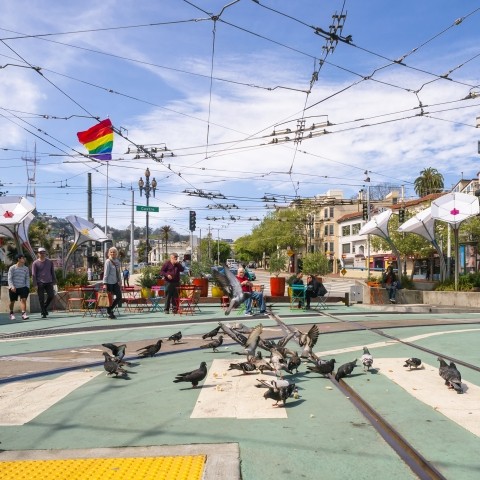 Pidgeon's in the foreground with pedestrians in the background at Jane Warner Plaza